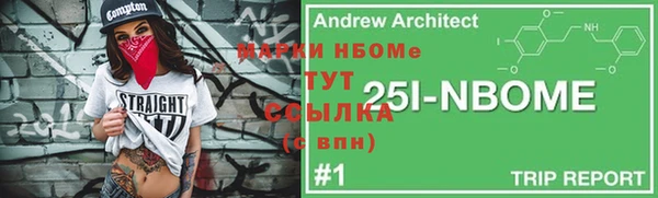 дурь Гусев