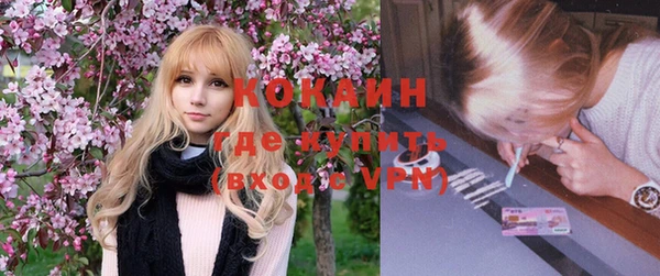 дурь Гусев