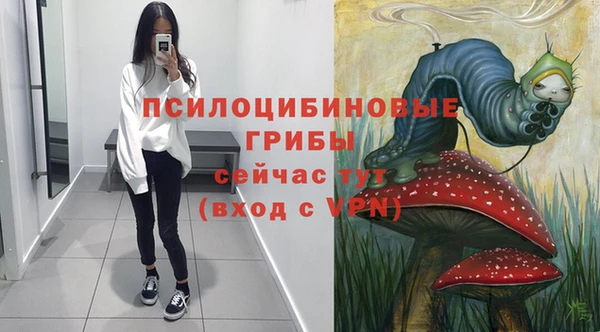 дурь Гусев