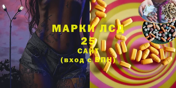 дурь Гусев