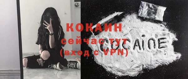 дурь Гусев