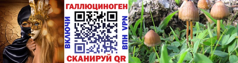 Купить закладки  Дзержинский  Псилоцибиновые грибы GOLDEN TEACHER 