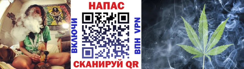 Бошки Шишки семена  Купить закладки  Дзержинский 
